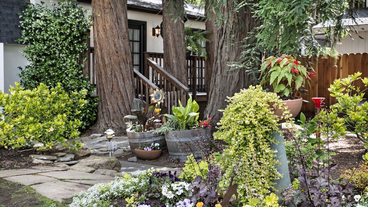 Photo of Buildings in Browns Valley
