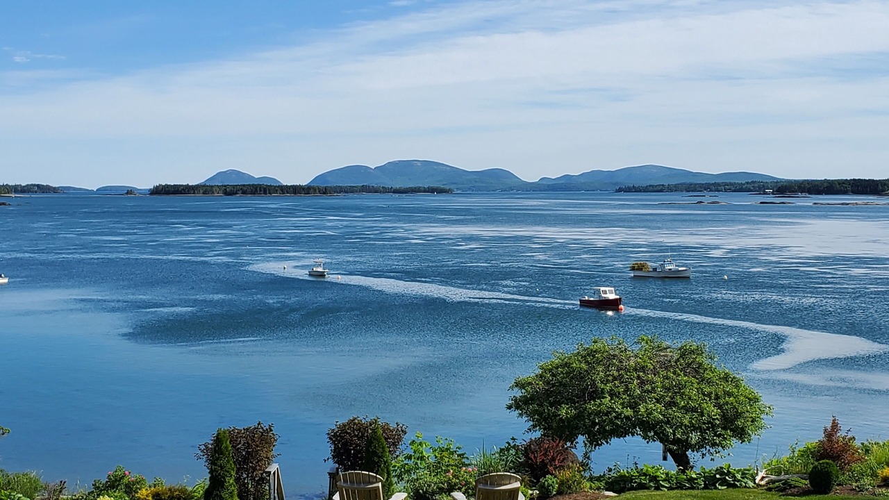 Photo of Others in Sullivan