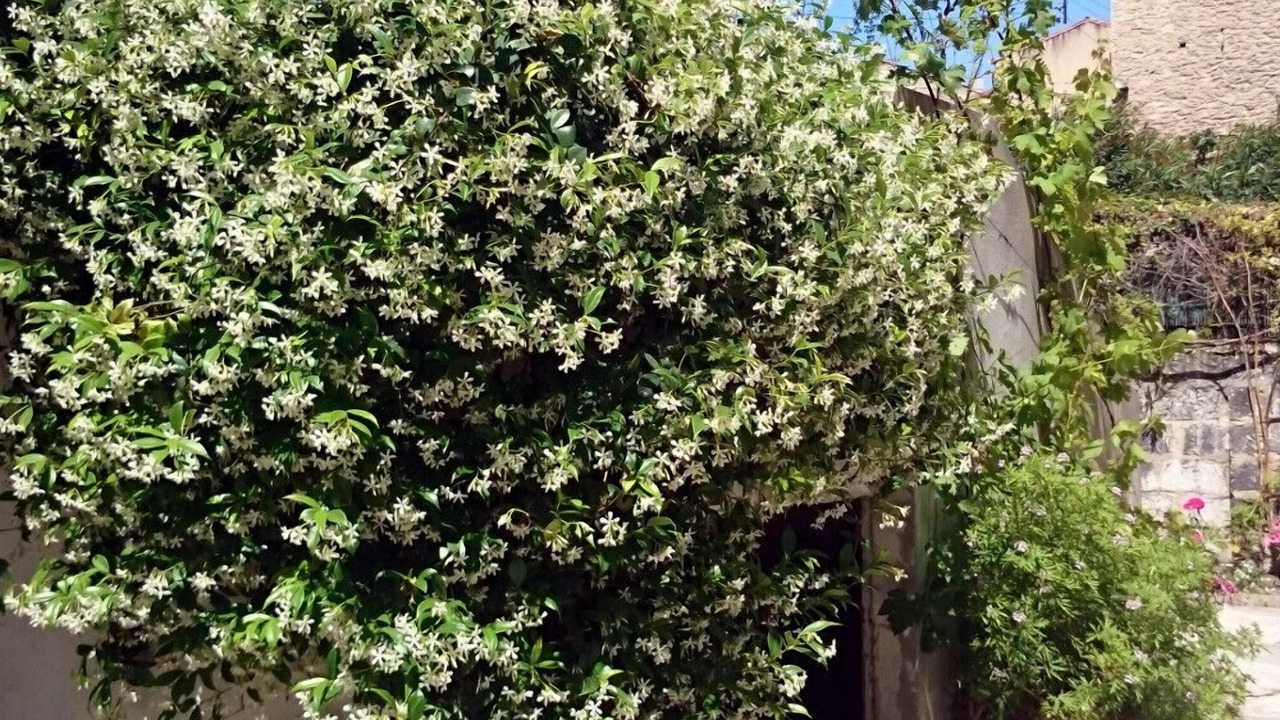 Photo of Outdoor in Gares