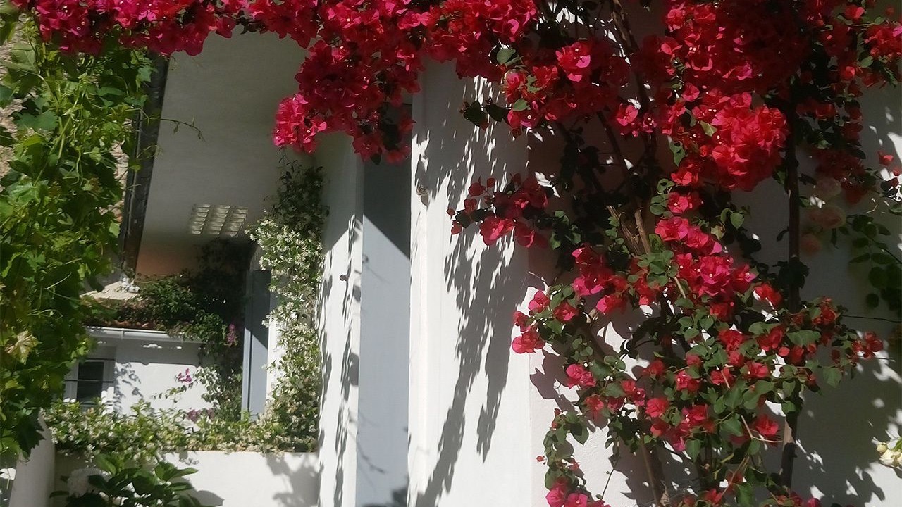 Photo of Outdoor in Gares