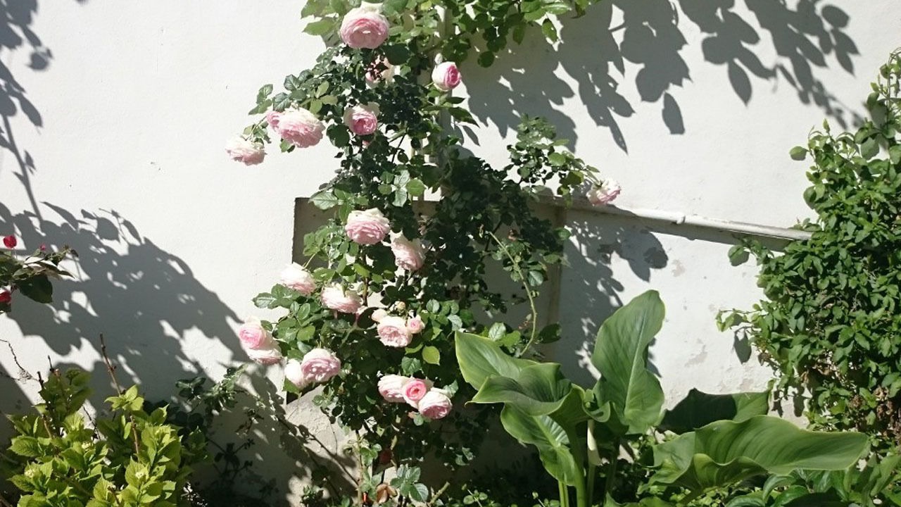 Photo of Outdoor in Gares