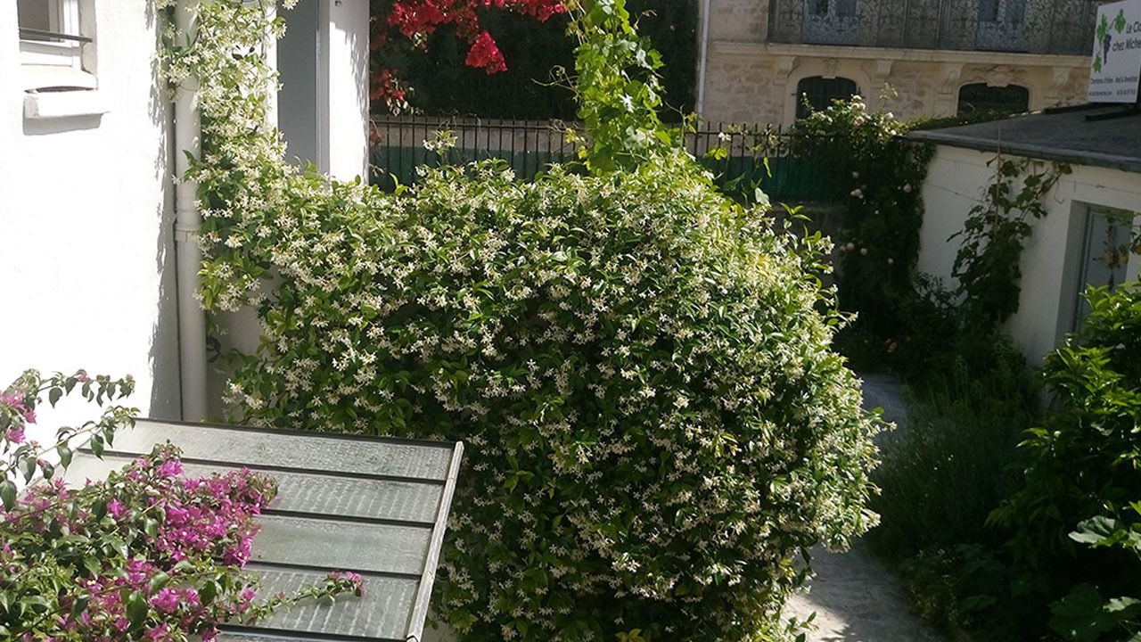 Photo of Buildings in Gares