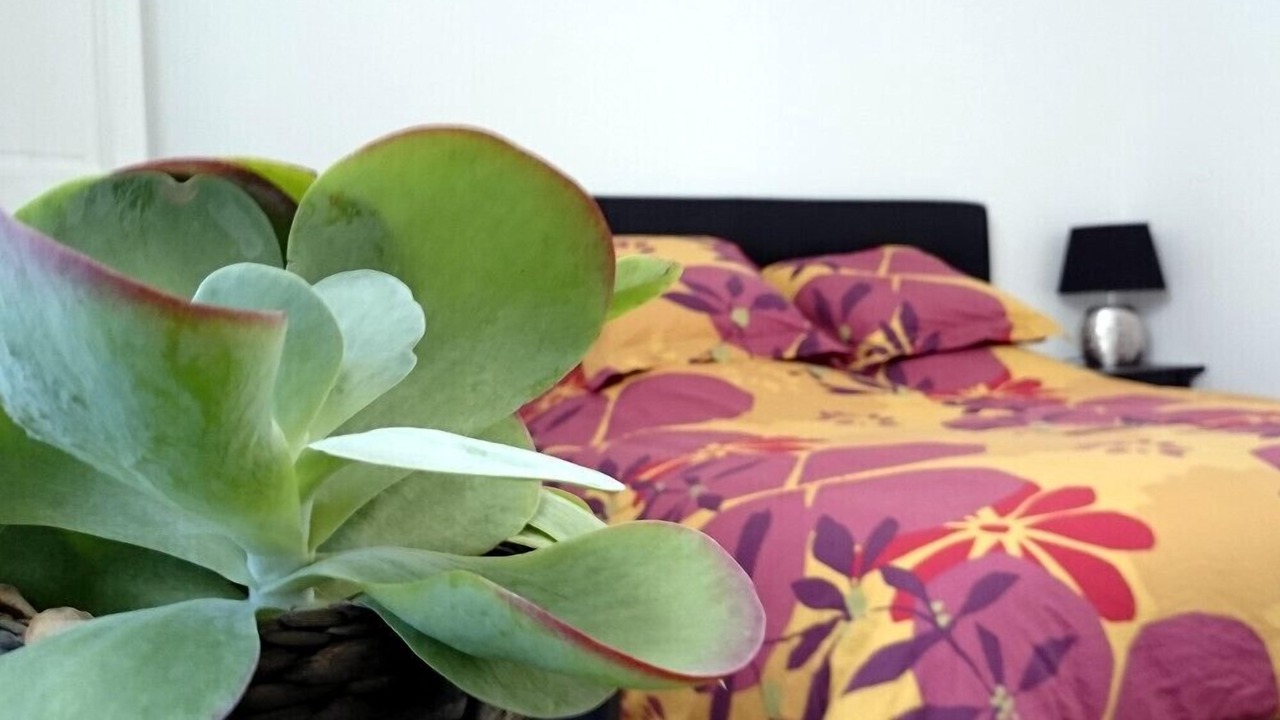 Photo of Bedroom in Gares