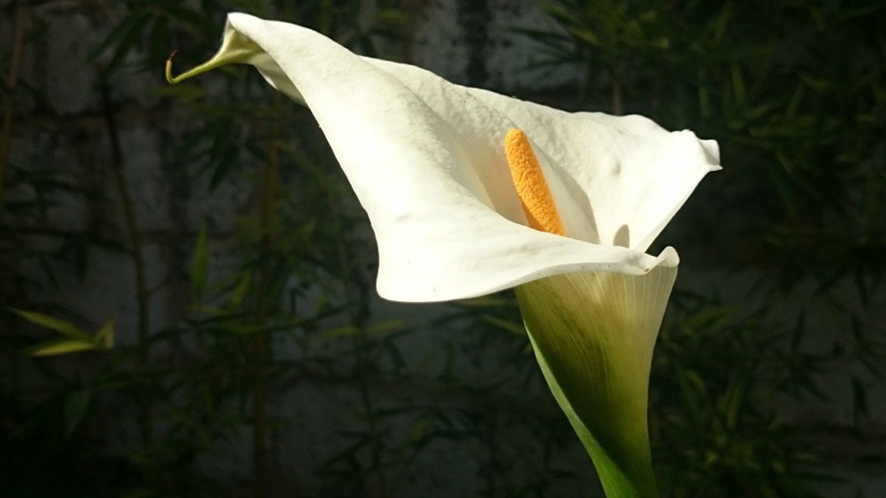 Photo of Outdoor in Gares