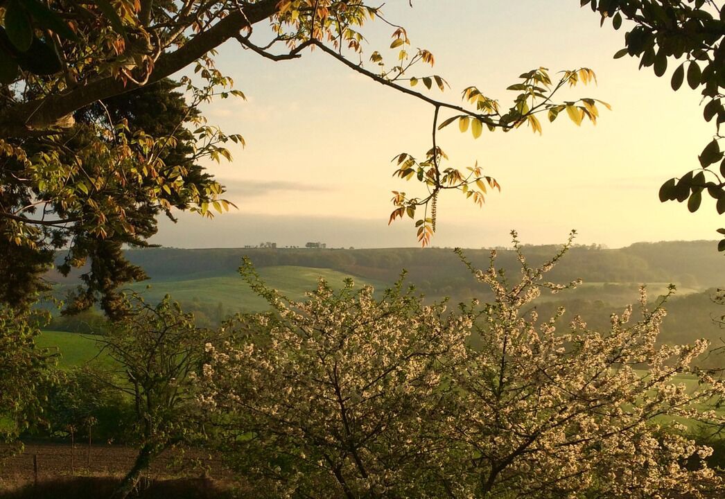 Photo of Outdoor in Jegun