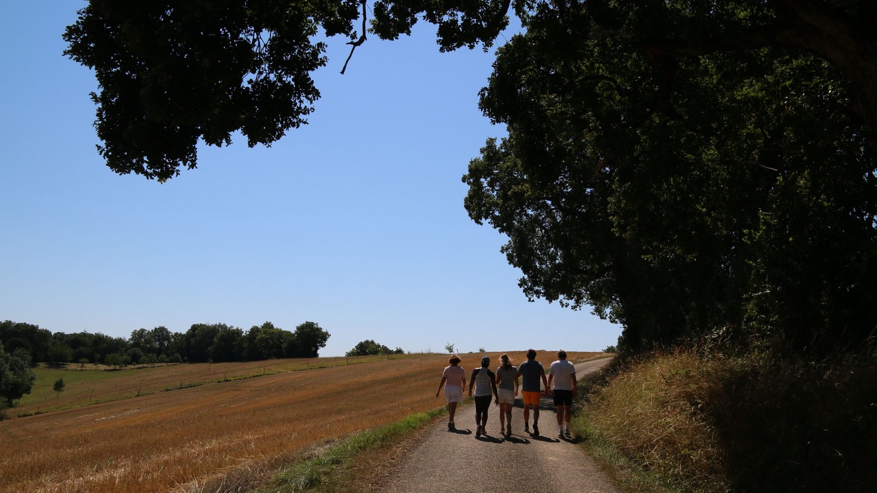 Photo of Outdoor in Jegun