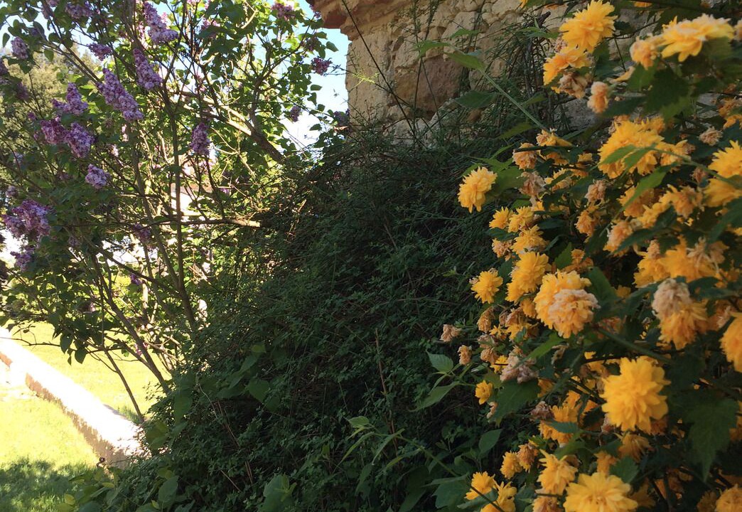 Photo of Outdoor in Jegun