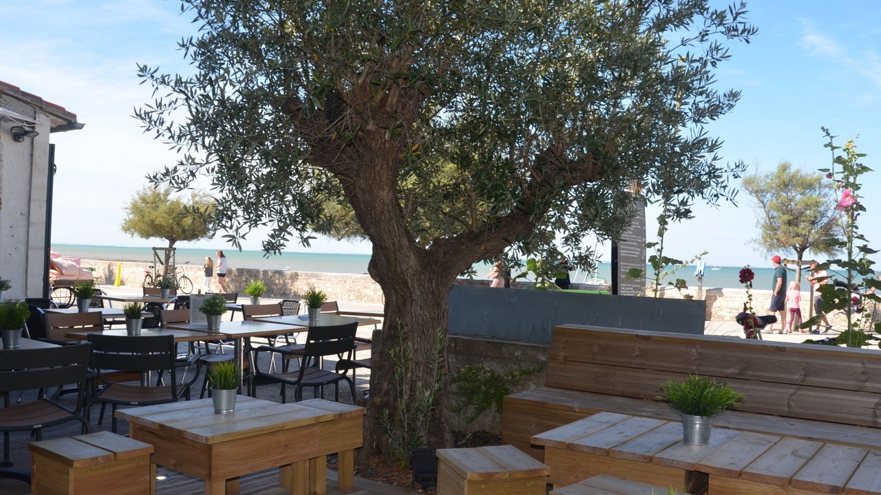 Photo of Others in La Flotte