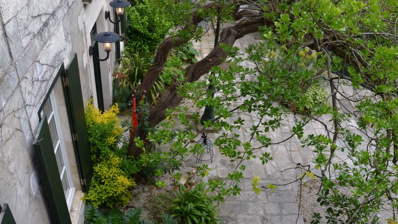 Photo of Others in La Flotte