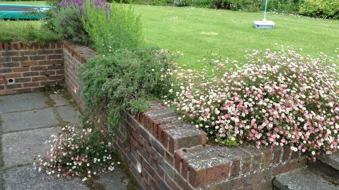 Photo of Outdoor in West Hoathly