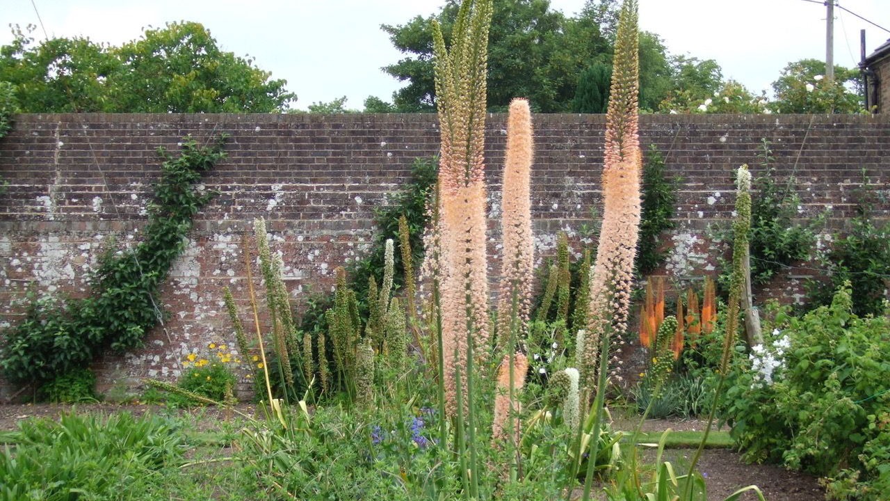 Photo of Outdoor in West Hoathly