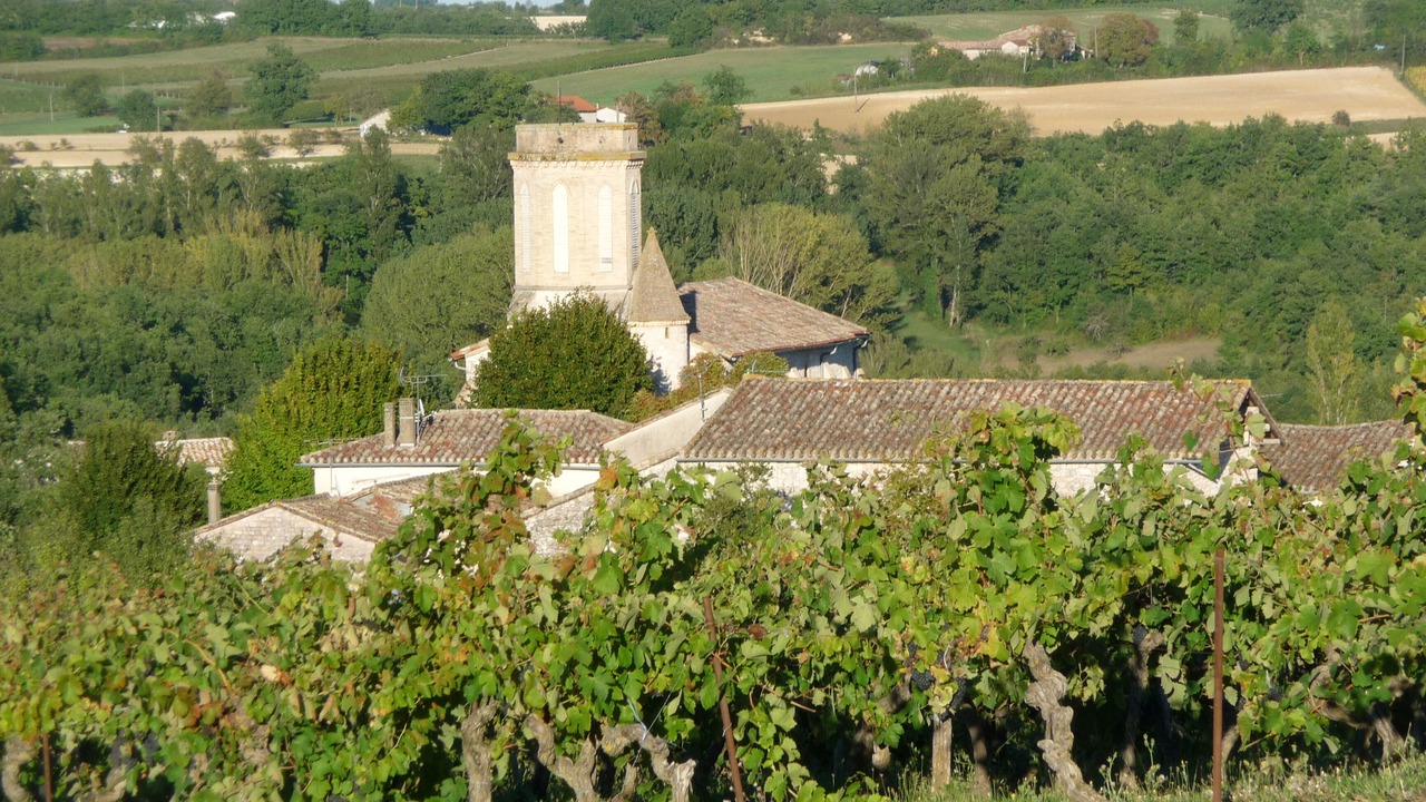 Photo of Others in Andillac