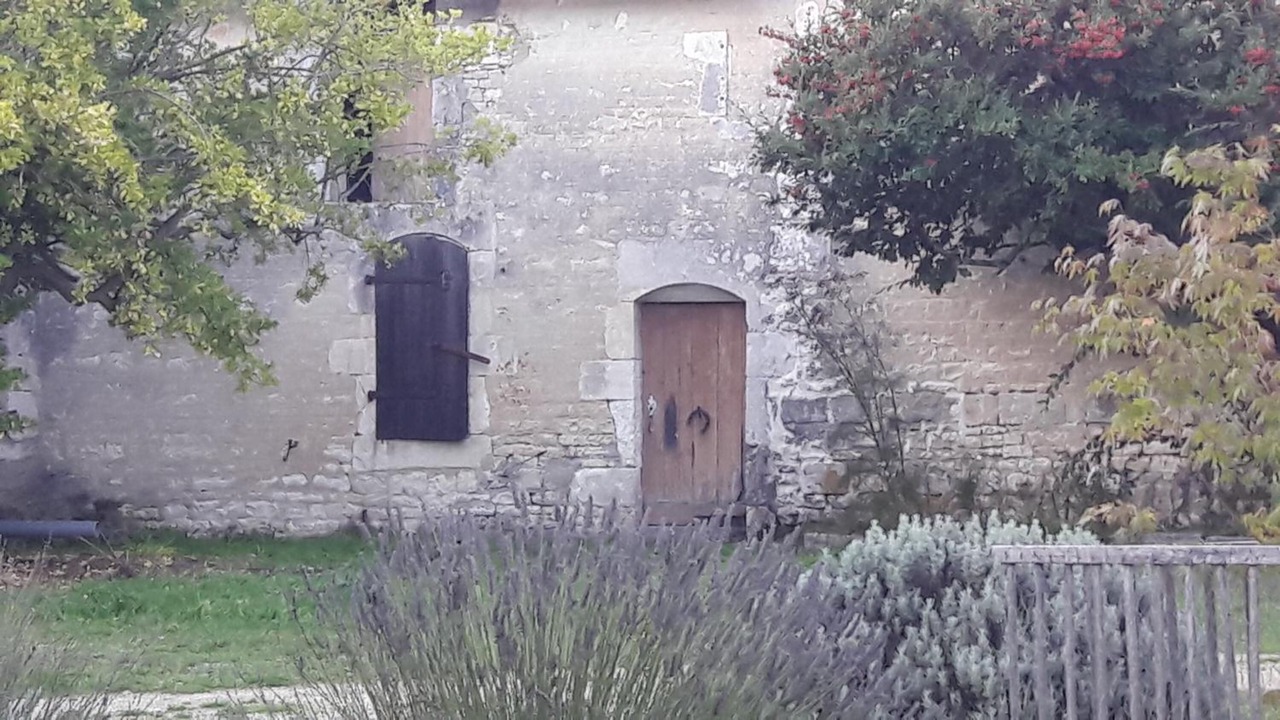 Photo of Outdoor in Mareuil