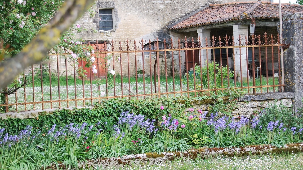 Photo of Outdoor in Mareuil