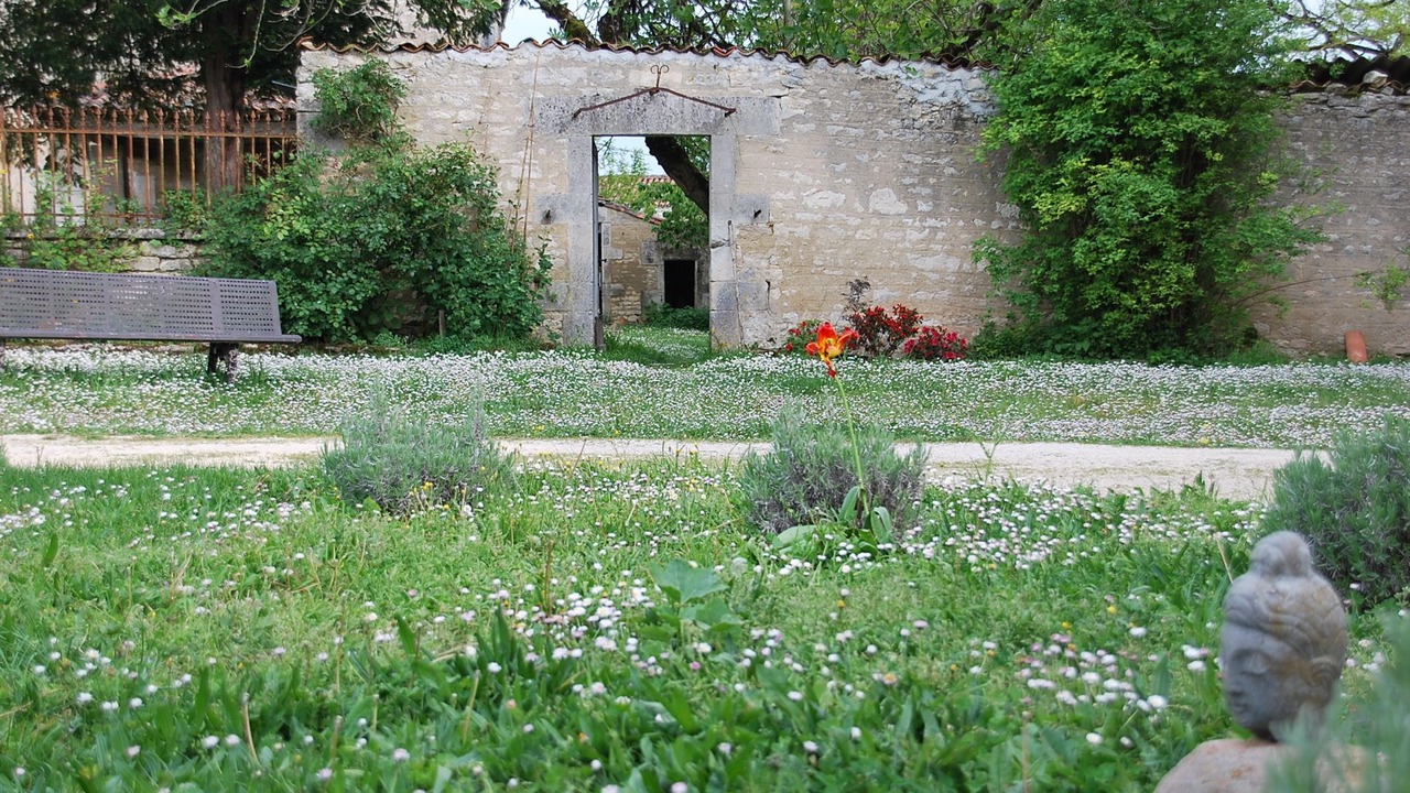 Photo of Outdoor in Mareuil