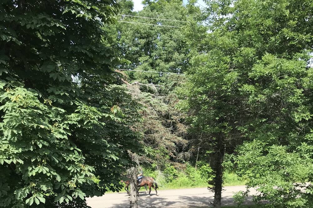 Photo of Outdoor in Portage