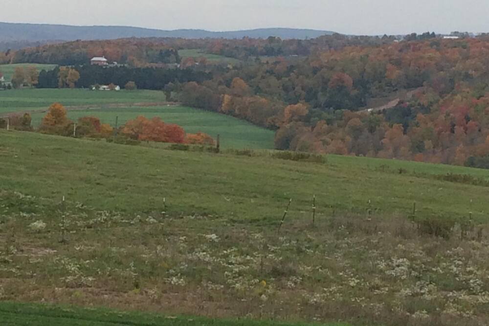 Photo of Others in Ralston