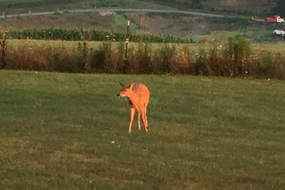 Photo of Outdoor in Ralston