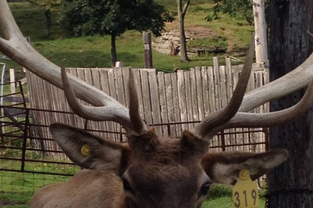 Photo of Outdoor in Ralston