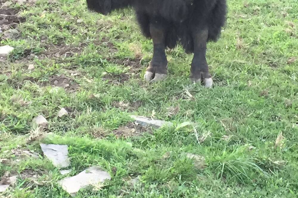 Photo of Others in Ralston