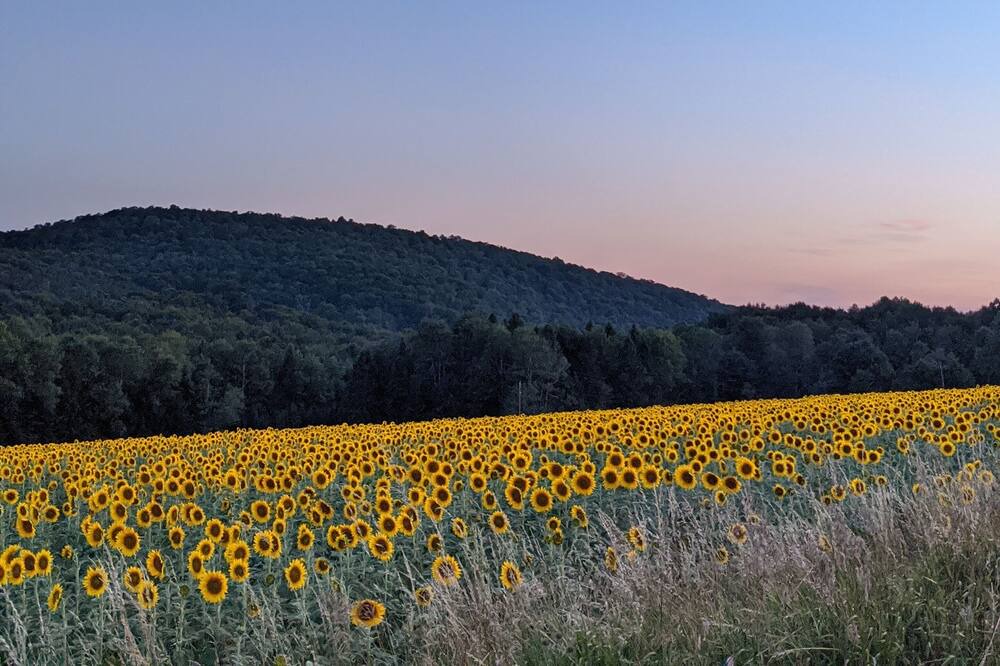 Photo of Others in Ralston