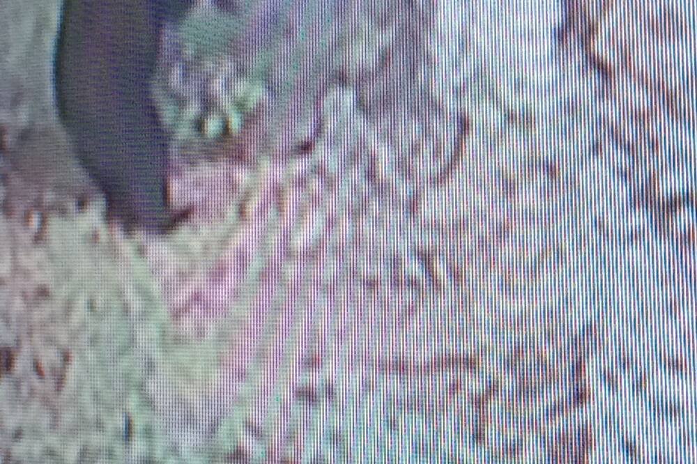 Photo of Outdoor in Ralston