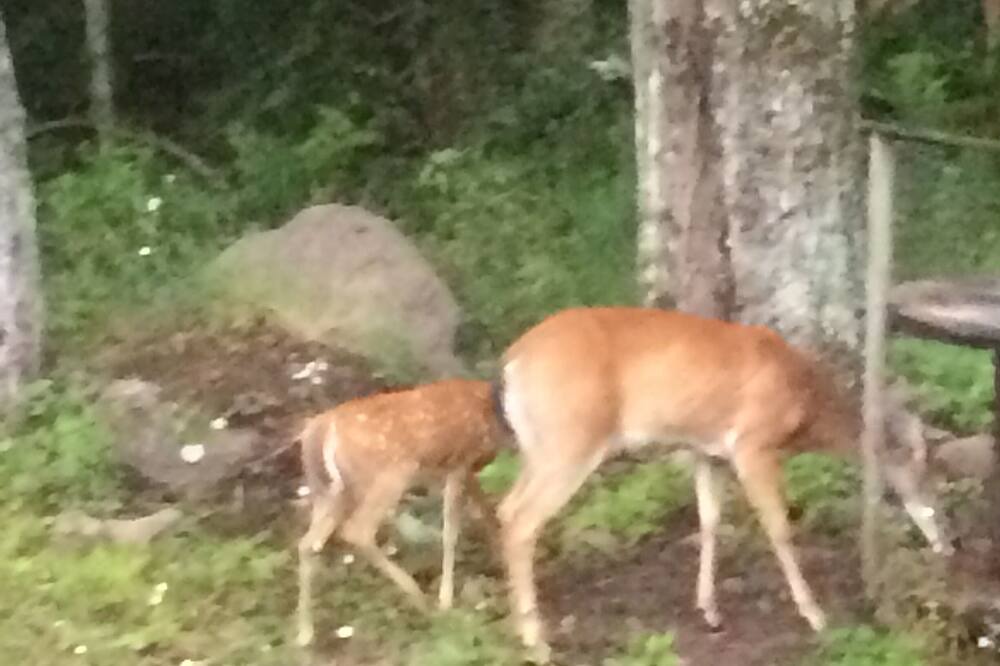 Photo of Others in Ralston