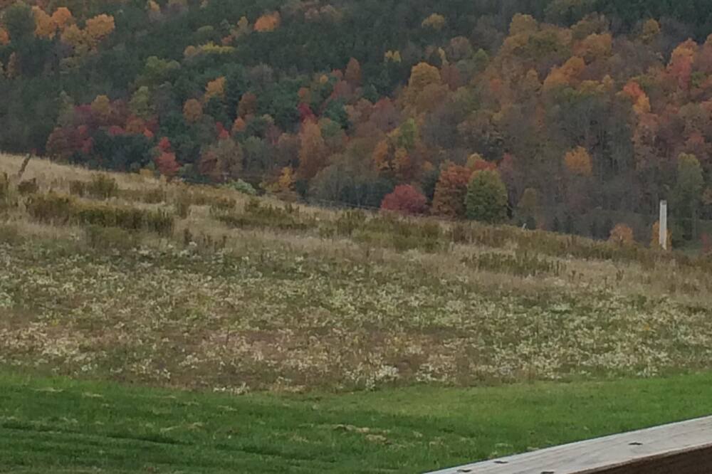 Photo of Others in Ralston