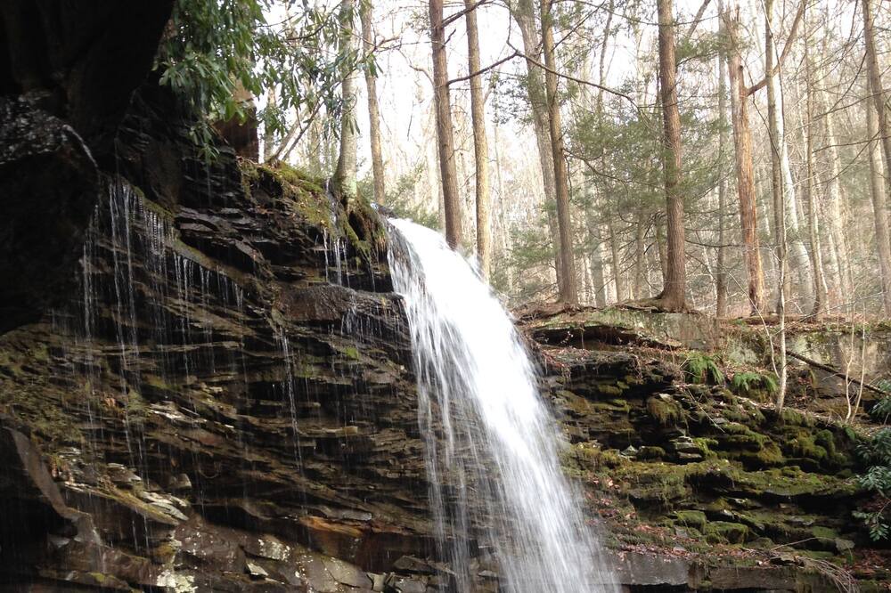 Photo of Outdoor in Ralston