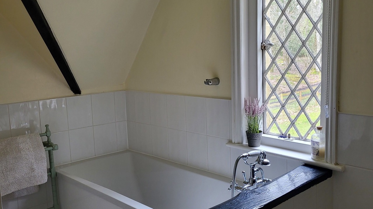 Photo of Others in New Forest District