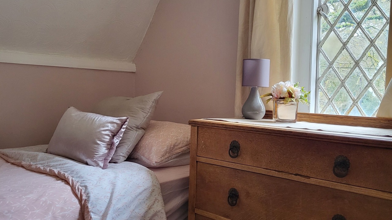 Photo of Others in New Forest District