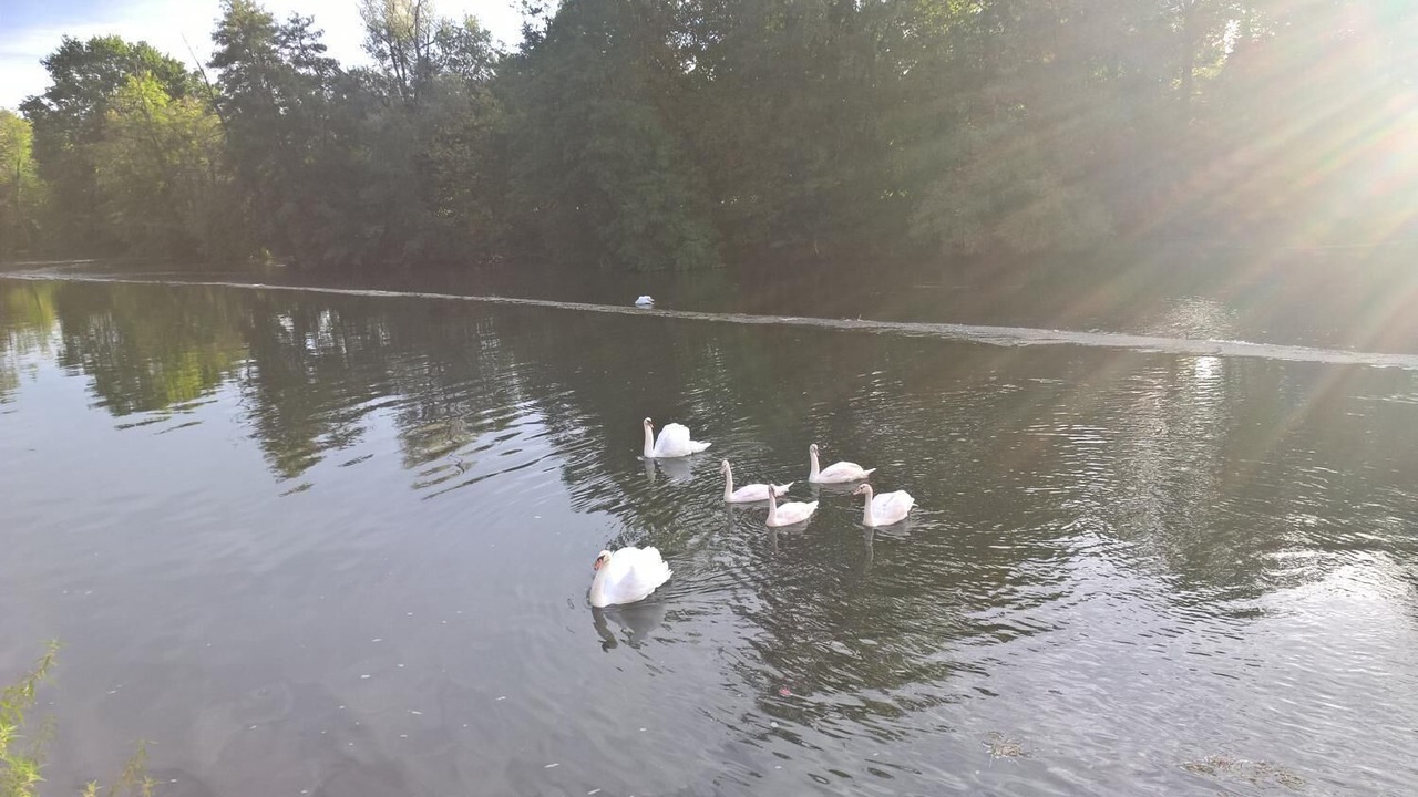 Photo of Outdoor in Saint-Astier