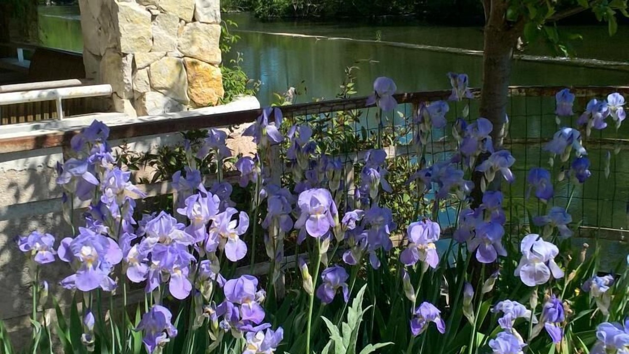 Photo of Outdoor in Saint-Astier