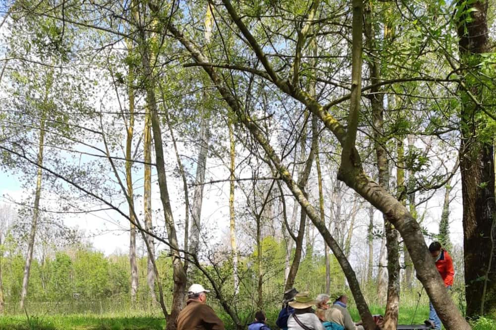 Photo of Outdoor in Saint-Saturnin-du-Bois