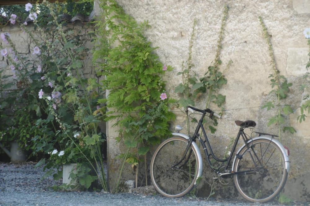 Photo of Outdoor in Saint-Saturnin-du-Bois