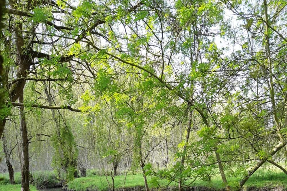 Photo of Outdoor in Saint-Saturnin-du-Bois