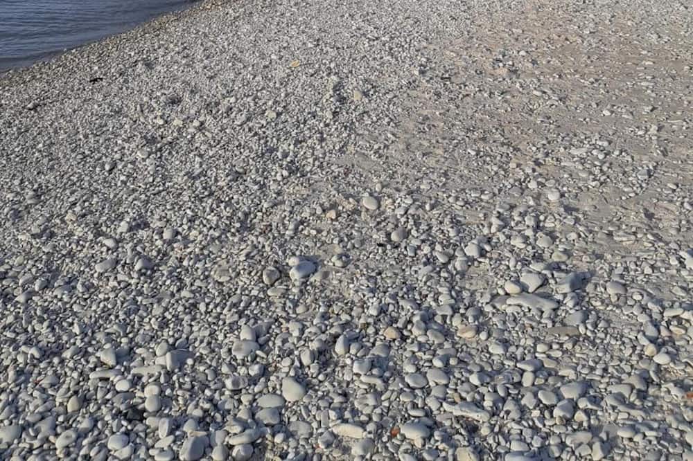 Photo of Others in Saint-Saturnin-du-Bois