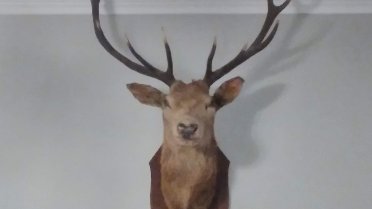 Photo of Others in Hunspow