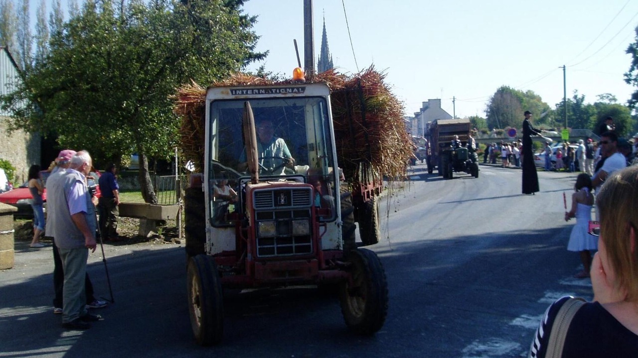 Photo of Others in Rohan