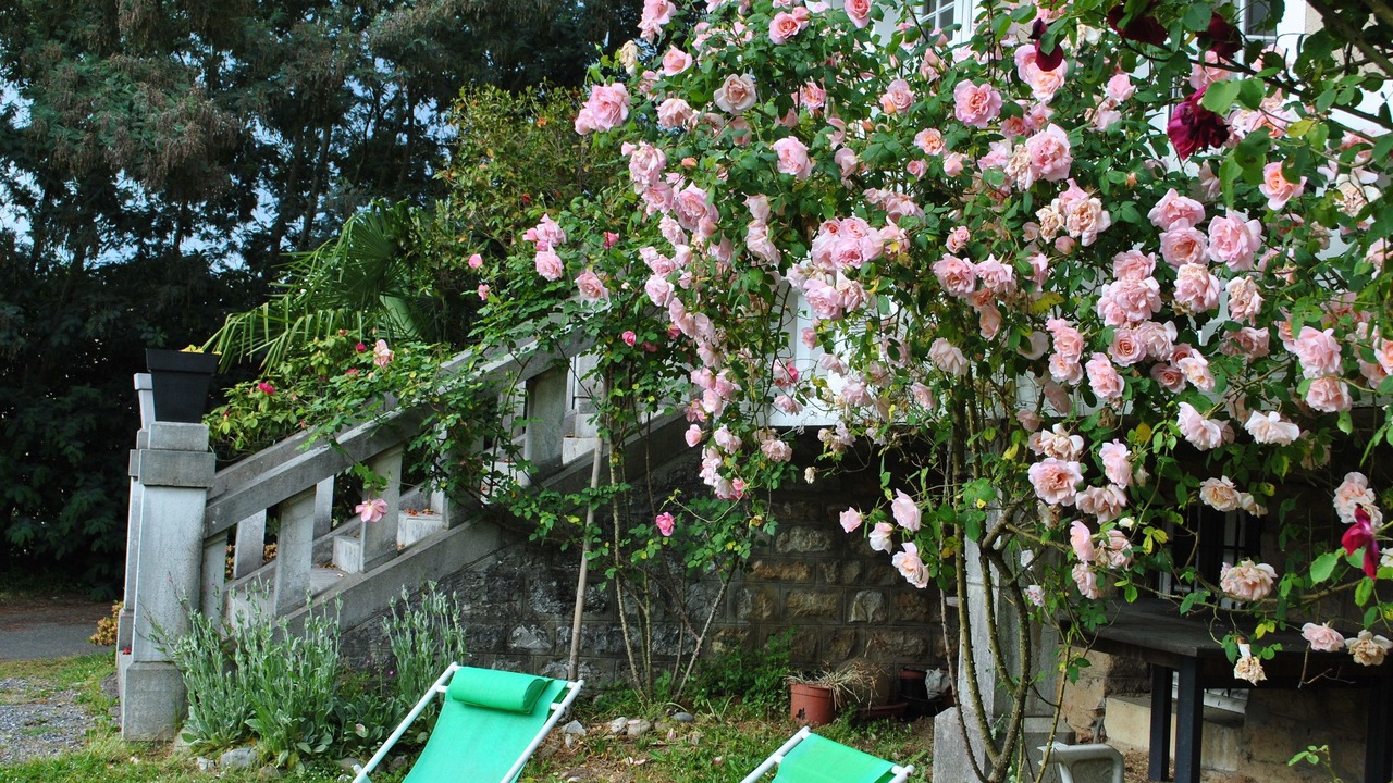 Photo of Outdoor in Salies-de-Bearn