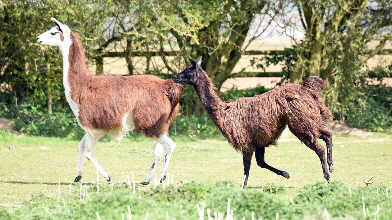 Photo of Others in Wisbech