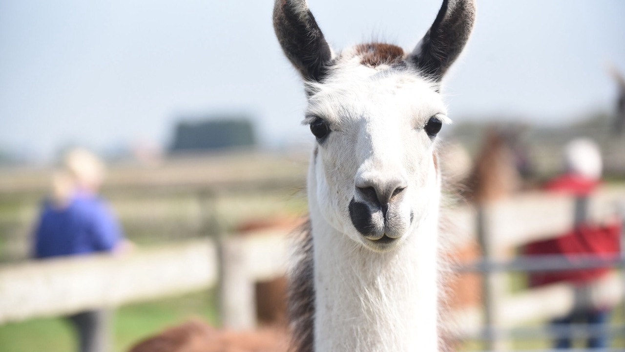 Photo of Bathroom in Wisbech