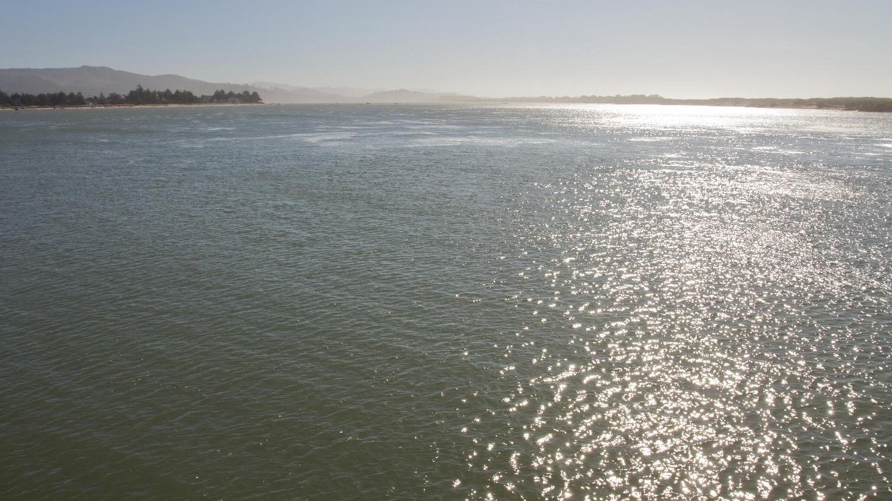 Photo of Others in Lincoln City