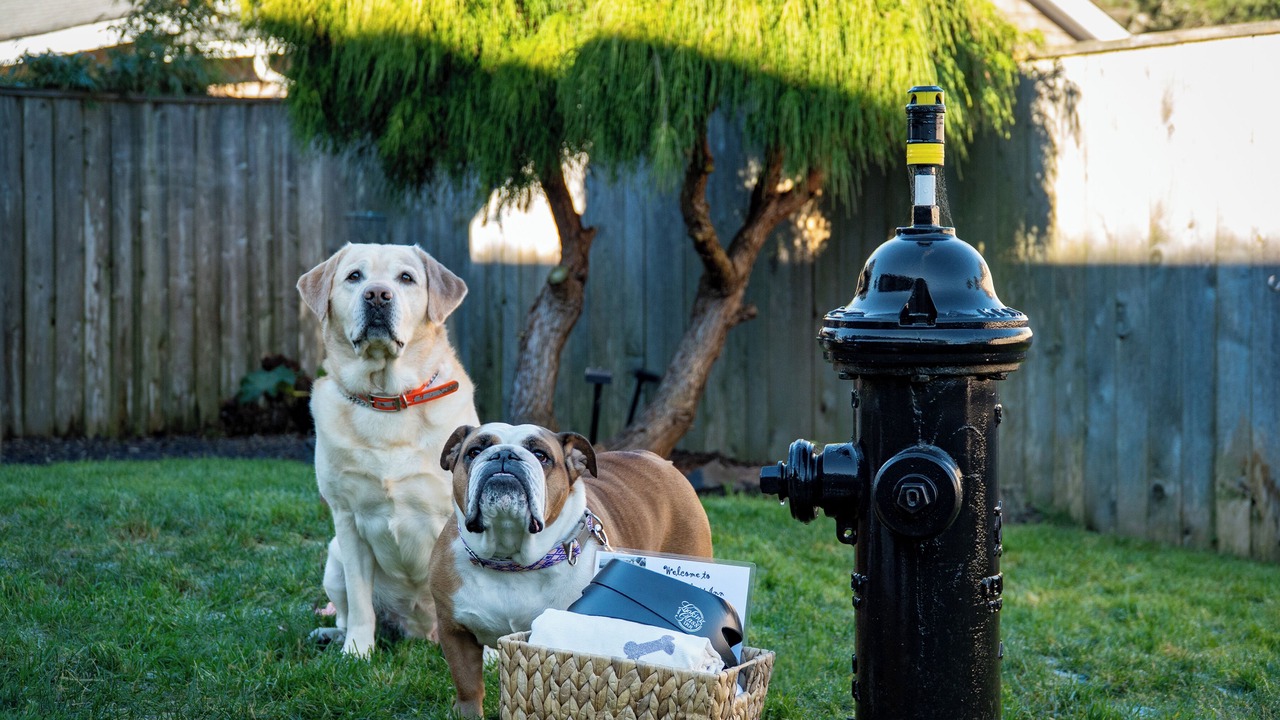 Photo of Others in Lincoln City