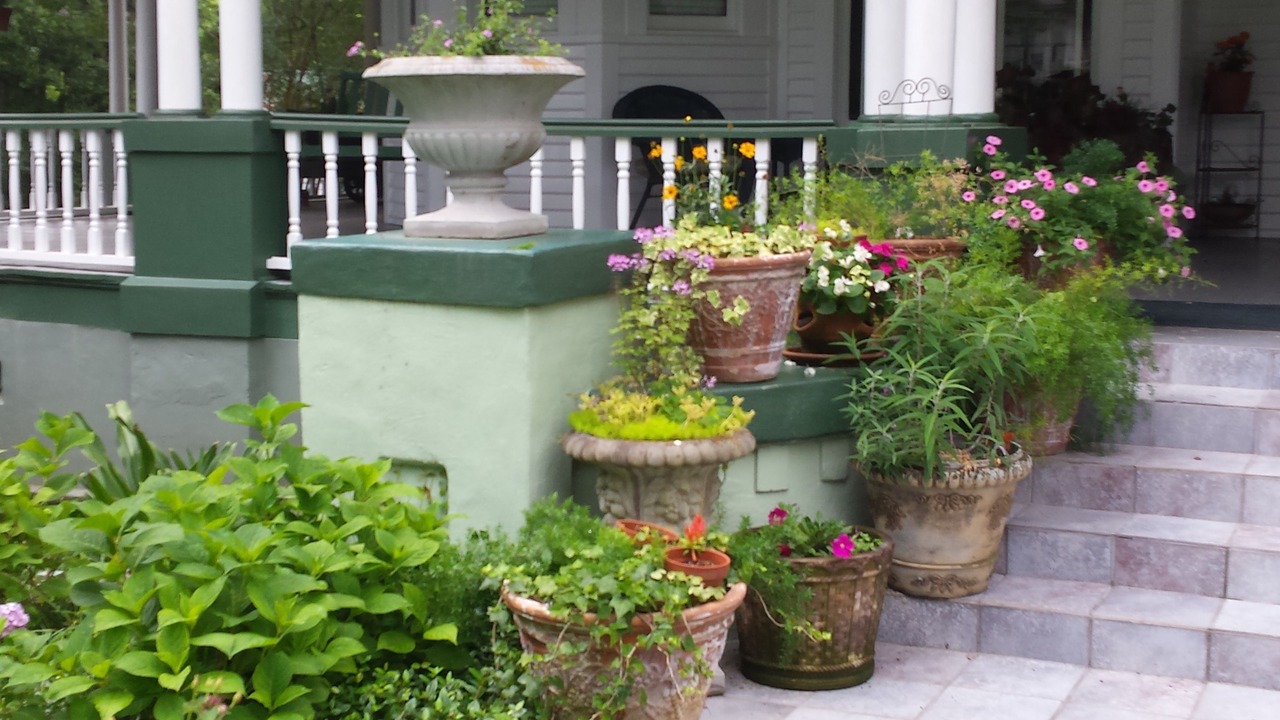 Photo of Others in Quincy