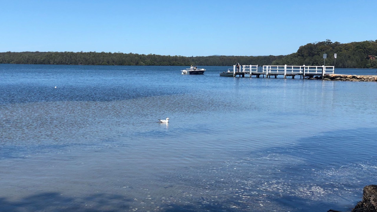 Photo of Others in Basin View