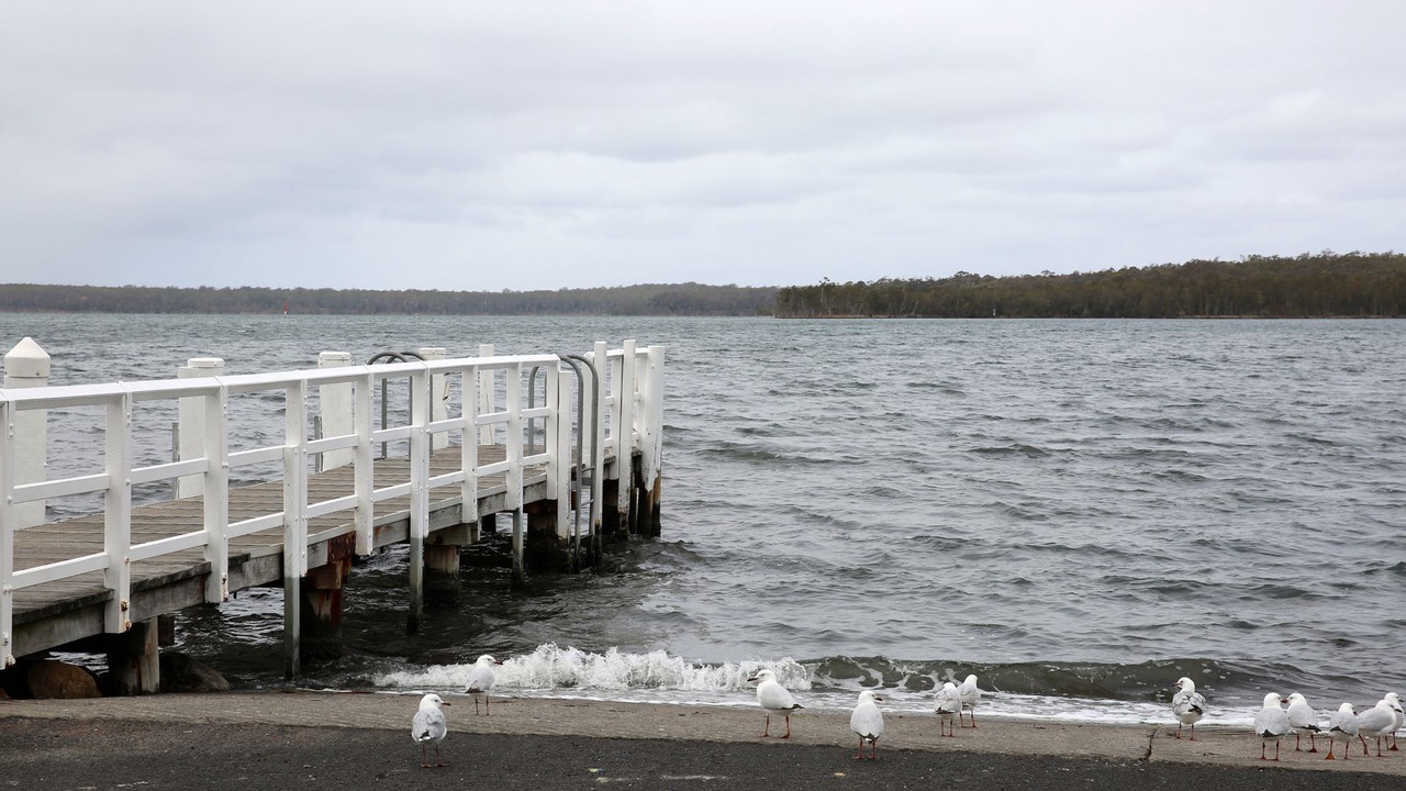 Photo of Others in Basin View