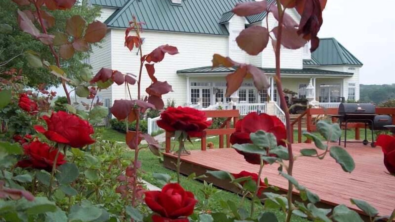 Photo of Outdoor in Washington