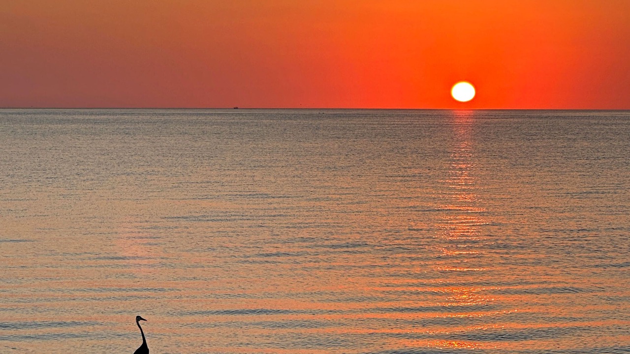 Photo of Outdoor in San Felipe