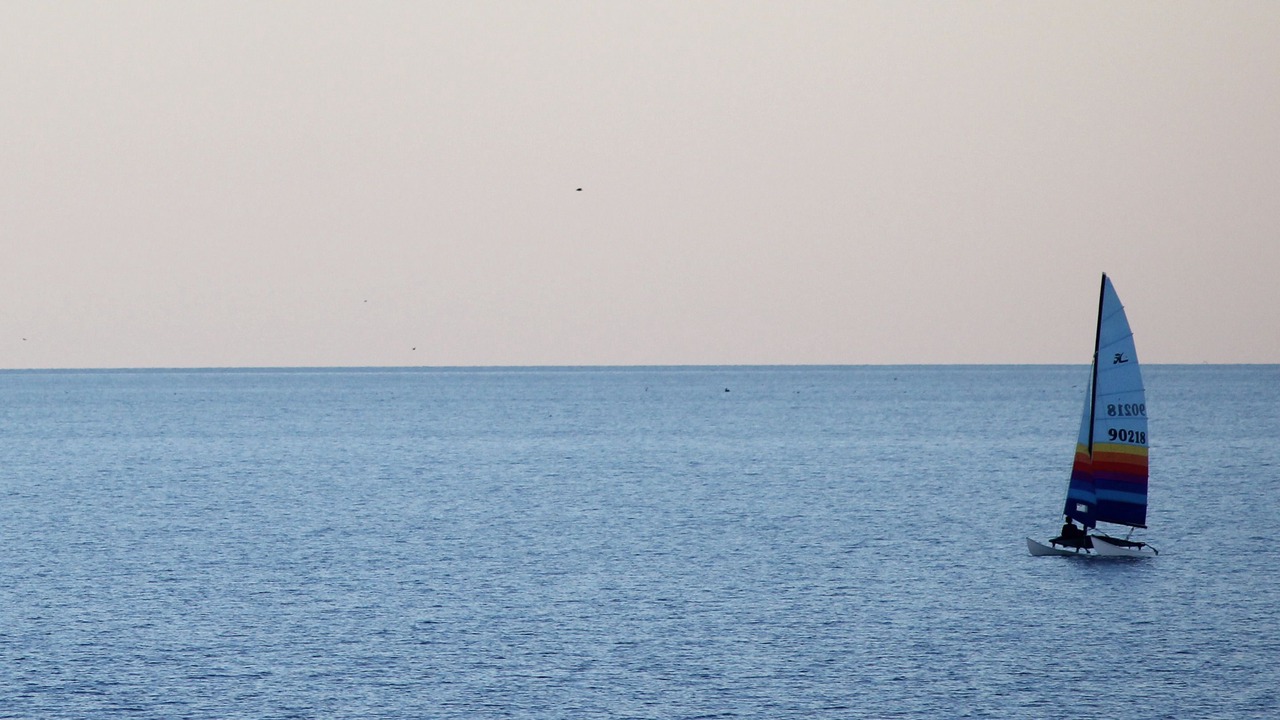 Photo of Others in San Felipe